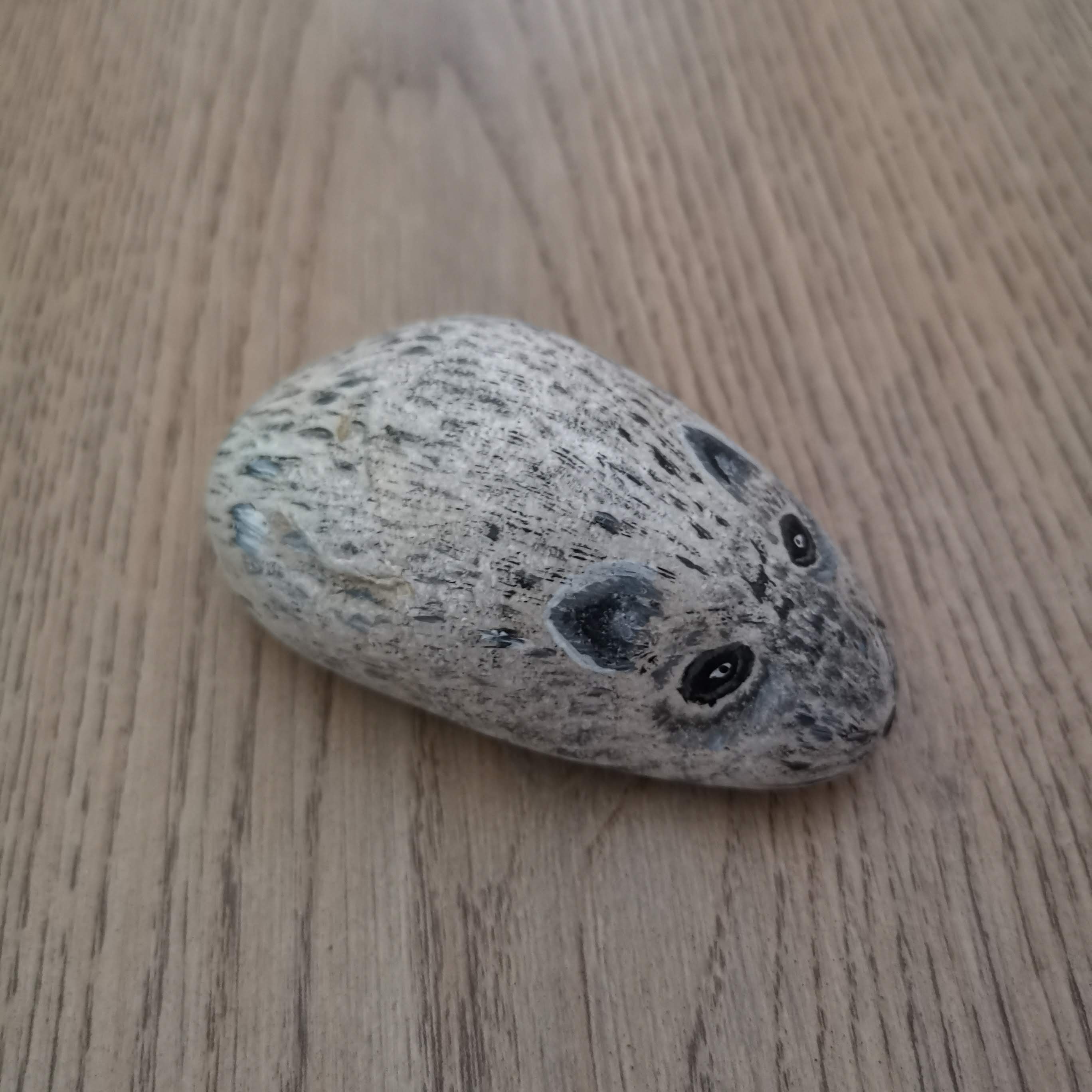 myš