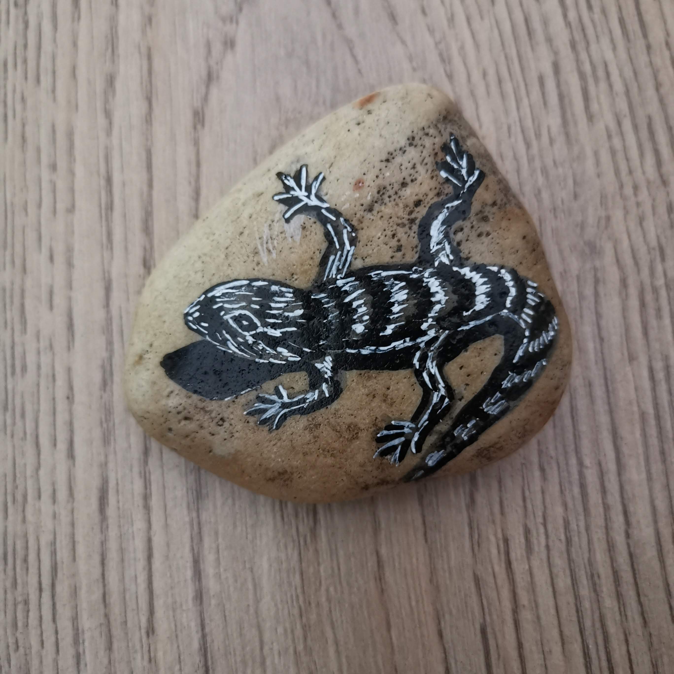 ještěrka